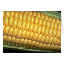 Corn on the cob greeting card