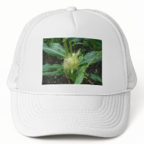 Corn on the Cob Mesh Hats