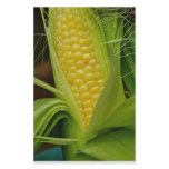 Corn on the cob stationery