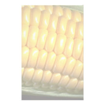 Corn on the cob stationery paper