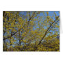 Cornelian Cherry Dogwood and Blue Sky Card