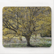 Cornelian Cherry Dogwood Mousepad