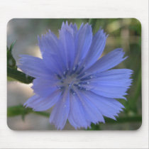 Cornflower Blue Mouse Pads