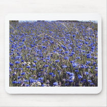 cornflowers mouse pads