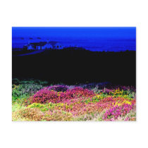 Cornish Heathers Landscape (2) Postcards