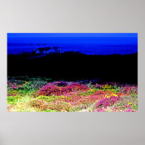 Cornish Heathers Landscape (2) Poster