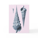 Cornucopia Conche Shells - Greeting Card