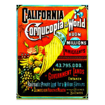 Cornucopia - Postcard