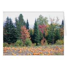 Correction de citrouille carte de vœux