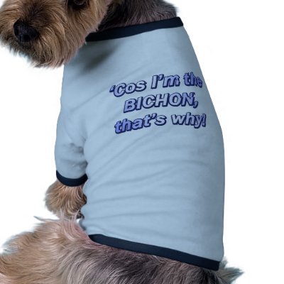 Cos I'm the Bichon Frise by MenagerieMayhem