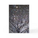Cosmic Christmas Tree -2 Greeting Card