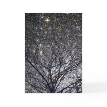 Cosmic Christmas Tree -2 Greeting Card