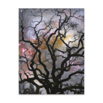Cosmic Tree - Colliding Galaxies Postcards