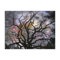 Cosmic Tree - Colliding Galaxies Post Cards
