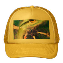 Cosmic wavelength of intention hat