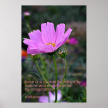 Cosmo Delight Poster