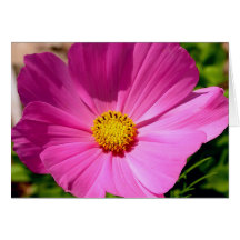 Cosmo Flower Customizable Cards