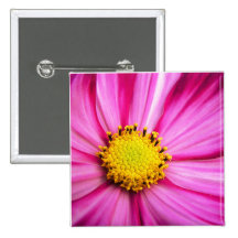 Cosmos Button