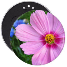 Cosmos, colossal button