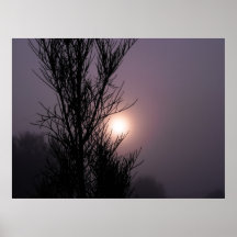cosmos in the morning poster