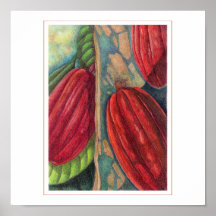 Cosses de cacao poster