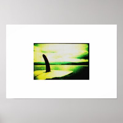 costa fin print by Bryanbrough