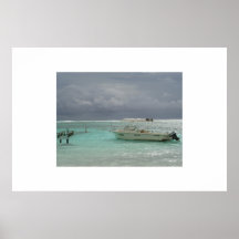 Costa Maya Print