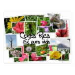 Costa Rica es Pura Vida! Post Card