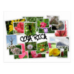 COSTA RICA POST CARDS
