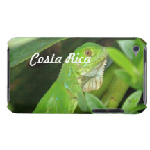 Costa Rican Lizard iPod Touch Cases