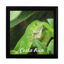 Costa Rican Lizard Keepsake Box