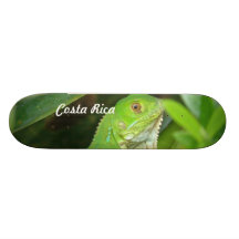 Costa Rican Lizard Skateboard