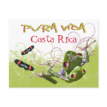 Costa Rican Pura Vida Postcard