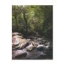 Costa Rican Rainforest Postcard