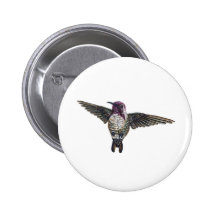 Costa's Hummingbird Pin