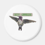 Costas Hummingbird with Banner Fridge Magnets