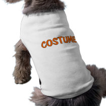 Costume Orange