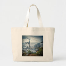 Côte rocailleuse sac