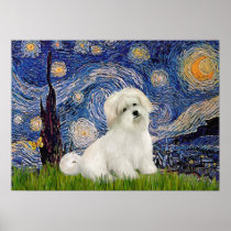 Coton de Tulear 7 -  Starry Night Poster