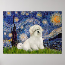 Coton de Tulear 7 -  Starry Night Poster