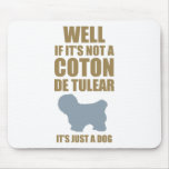 Coton de Tulear