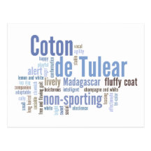 Coton de Tulear Postcards