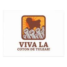 Coton de Tulear Postcards