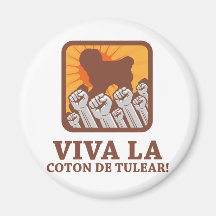 Coton de Tulear Refrigerator Magnet