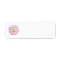 Coton de Tulear Springtime Flower Return Address Labels