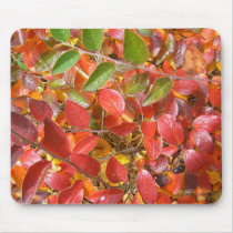 Cotoneaster Leaves in Autumn Mousepad mousepads