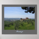 Cottage among the Olive Groves posters