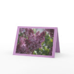 COTTAGE CHINTZ CARDS