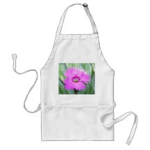 Cottage Pinks - Dianthus Apron
