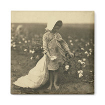 Cotton Field